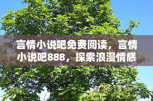 言情小说吧免费阅读，言情小说吧888，探索浪漫情感的奇妙世界