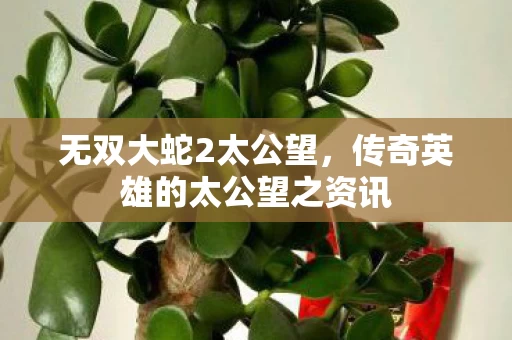 传奇英雄的太公望之资讯图片