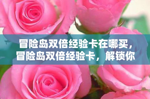 冒险岛双倍经验卡在哪买，冒险岛双倍经验卡，解锁你的冒险之旅