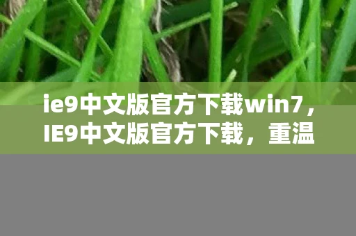 ie9中文版官方下载win7，IE9中文版官方下载，重温经典浏览器，体验XP时代的网络冲浪
