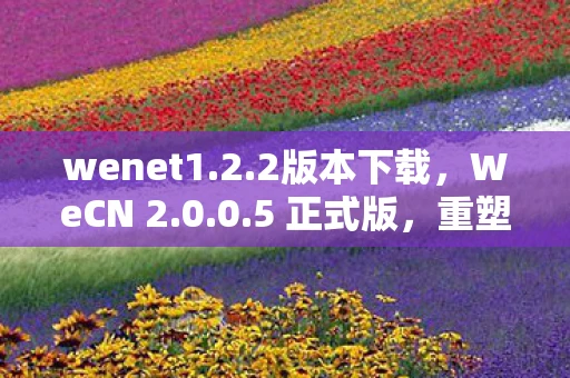 wenet1.2.2版本下载，WeCN 2.0.0.5 正式版，重塑企业沟通协作新纪元