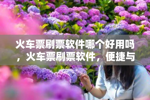 火车票刷票软件哪个好用吗，火车票刷票软件，便捷与风险并存