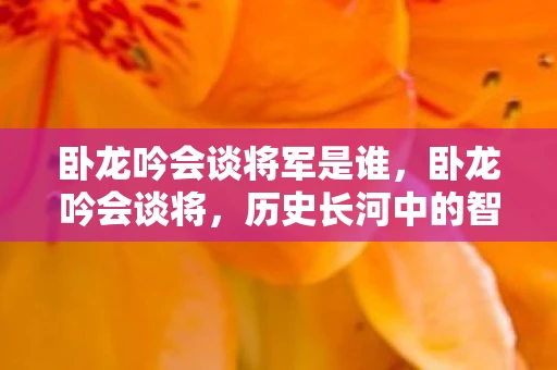 卧龙吟会谈将军是谁，卧龙吟会谈将，历史长河中的智慧与勇气