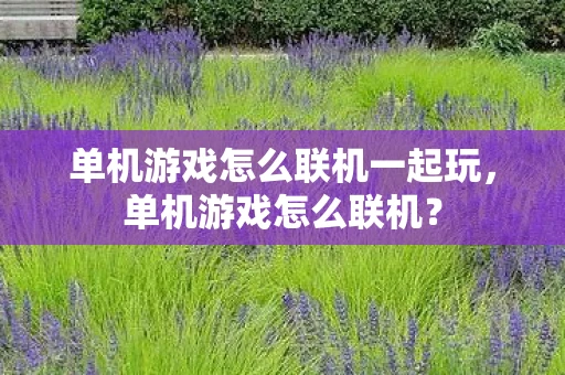 单机游戏怎么联机一起玩，单机游戏怎么联机？