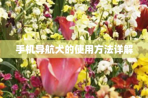 手机导航犬的使用方法详解图片