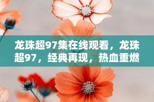 龙珠超97集在线观看，龙珠超97，经典再现，热血重燃