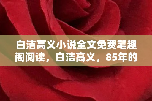 白洁高义小说全文免费笔趣阁阅读，白洁高义，85年的传奇人生与不朽贡献