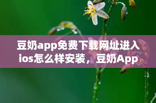 豆奶app免费下载网址进入ios怎么样安装，豆奶App，重塑健康生活的新选择