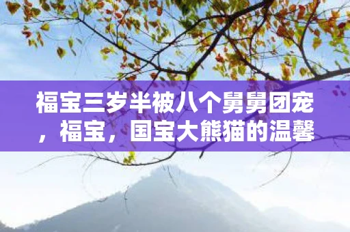福宝三岁半被八个舅舅团宠，福宝，国宝大熊猫的温馨故事