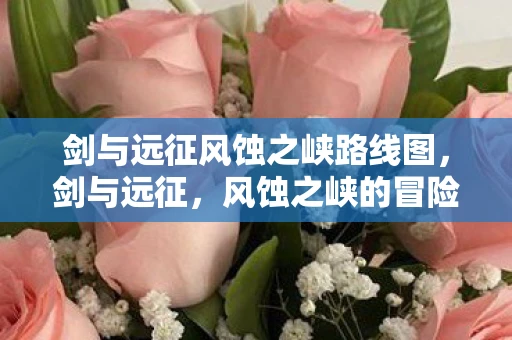 剑与远征风蚀之峡路线图，剑与远征，风蚀之峡的冒险之旅