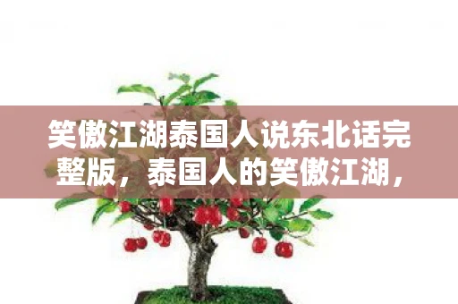 笑傲江湖泰国人说东北话完整版，泰国人的笑傲江湖，从街头艺人到国际巨星