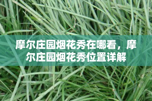 摩尔庄园烟花秀在哪看,摩尔庄园烟花秀位置详解 摩尔庄园烟花秀在哪看,摩尔庄园烟花秀位置详解