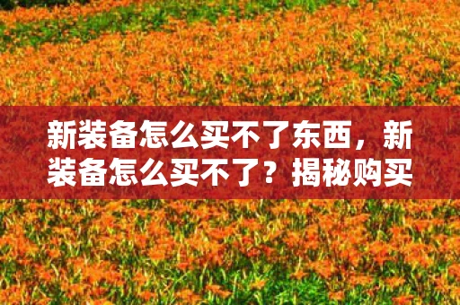 新装备怎么买不了东西，新装备怎么买不了？揭秘购买新装备的常见问题与解决方案