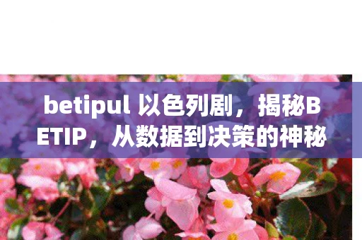 betipul 以色列剧，揭秘BETIP，从数据到决策的神秘桥梁