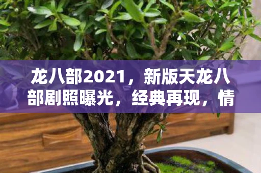 龙八部2021，新版天龙八部剧照曝光，经典再现，情怀与创新的碰撞
