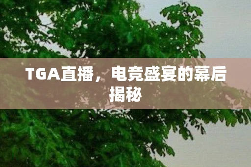 TGA直播，电竞盛宴的幕后揭秘