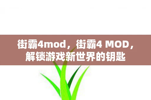 街霸4mod，街霸4 MOD，解锁游戏新世界的钥匙