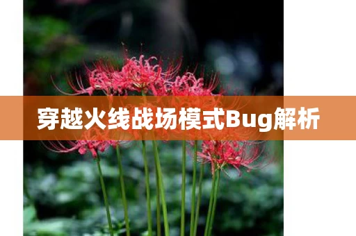 穿越火线战场模式Bug解析图片