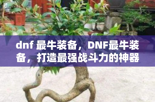 dnf 最牛装备，DNF最牛装备，打造最强战斗力的神器