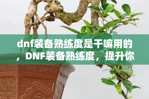 dnf装备熟练度是干嘛用的，DNF装备熟练度，提升你的战斗能力，掌握游戏精髓