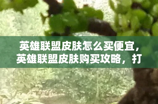 英雄联盟皮肤怎么买便宜，英雄联盟皮肤购买攻略，打造你的专属英雄风采