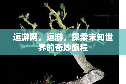 逗游网，逗游，探索未知世界的奇妙旅程