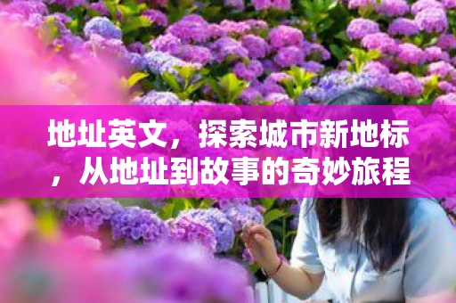 地址英文，探索城市新地标，从地址到故事的奇妙旅程
