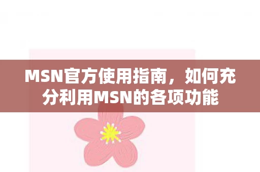 如何充分利用MSN的各项功能图片