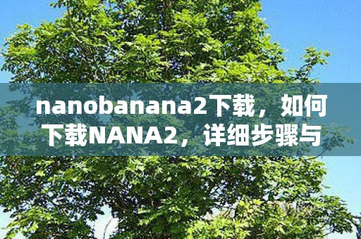 nanobanana2下载，如何下载NANA2，详细步骤与注意事项