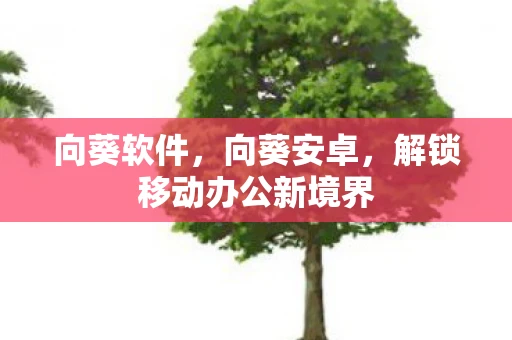 向葵软件，向葵安卓，解锁移动办公新境界
