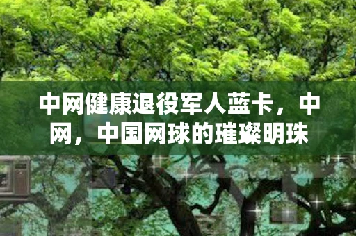 中网健康退役军人蓝卡,中网,中国网球的璀璨明珠 中网健康退役军人蓝卡,中网,中国网球的璀璨明珠
