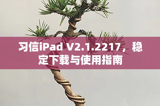 习信iPad V2图片