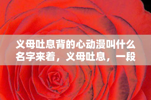 义母吐息背的心动漫叫什么名字来着，义母吐息，一段跨越时空的温情故事