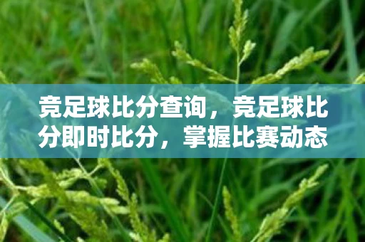 竞足球比分查询，竞足球比分即时比分，掌握比赛动态，洞悉胜败关键
