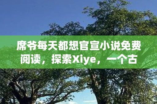席爷每天都想官宣小说免费阅读，探索Xiye，一个古老而神秘的文化遗产
