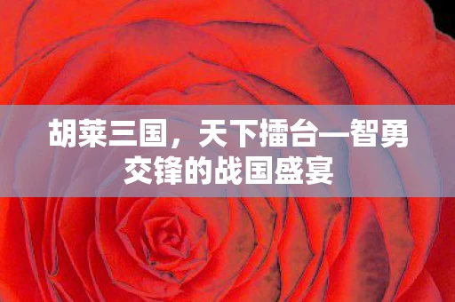 智勇交锋的战国盛宴图片