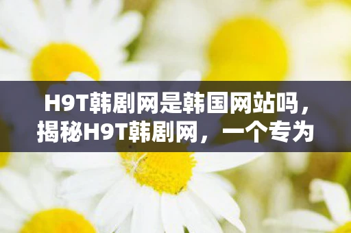 H9T韩剧网是韩国网站吗,揭秘H9T韩剧网,一个专为韩剧迷打造的宝藏平台 H9T韩剧网是韩国网站吗,揭秘H9T韩剧网,一个专为韩剧迷打造的宝藏平台