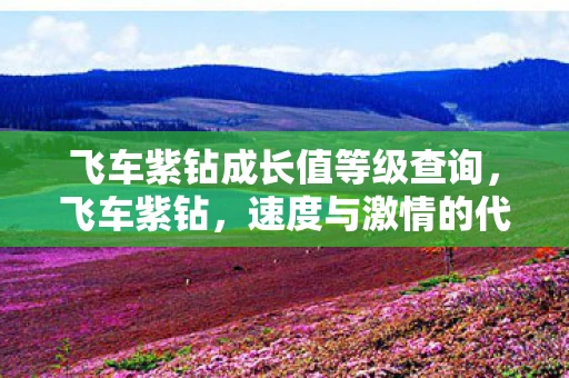 飞车紫钻成长值等级查询，飞车紫钻，速度与激情的代名词