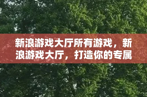 新浪游戏大厅所有游戏，新浪游戏大厅，打造你的专属游戏乐园
