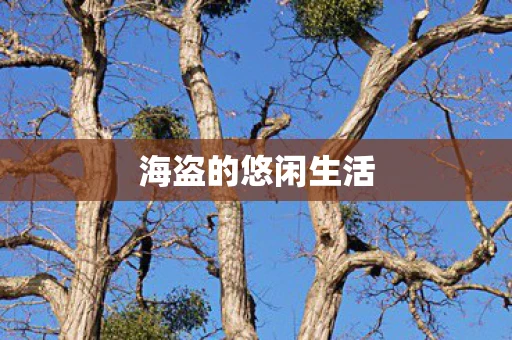 海盗的悠闲生活 海盗的悠闲生活