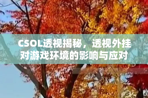 透视外挂对游戏环境的影响与应对图片
