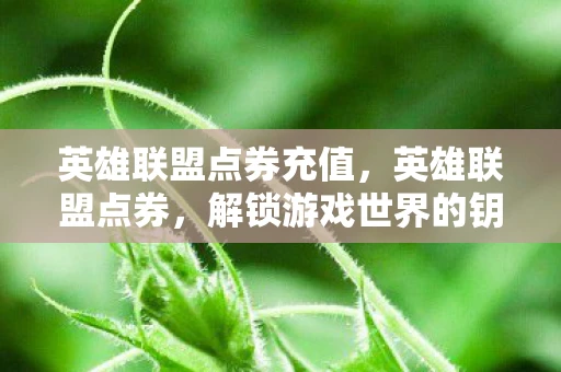 英雄联盟点券充值,英雄联盟点券,解锁游戏世界的钥匙 英雄联盟点券充值,英雄联盟点券,解锁游戏世界的钥匙