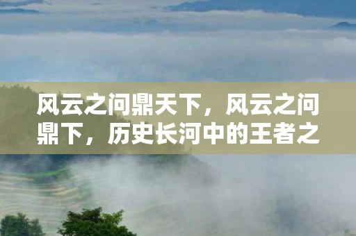 风云之问鼎天下，风云之问鼎下，历史长河中的王者之路