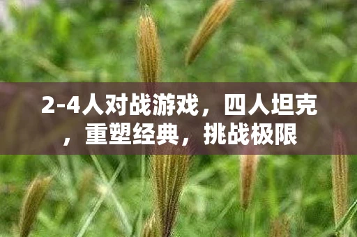 2-4人对战游戏，四人坦克，重塑经典，挑战极限