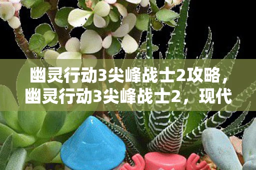 幽灵行动3尖峰战士2攻略，幽灵行动3尖峰战士2，现代战争中的战术与策略