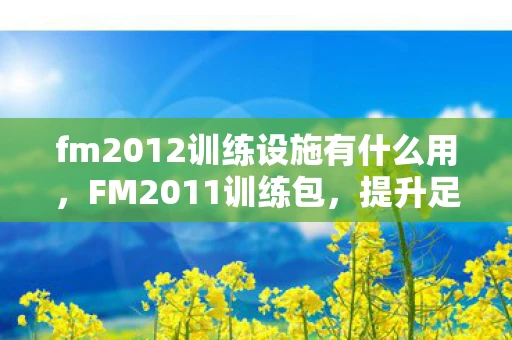 fm2012训练设施有什么用，FM2011训练包，提升足球管理技能的神器