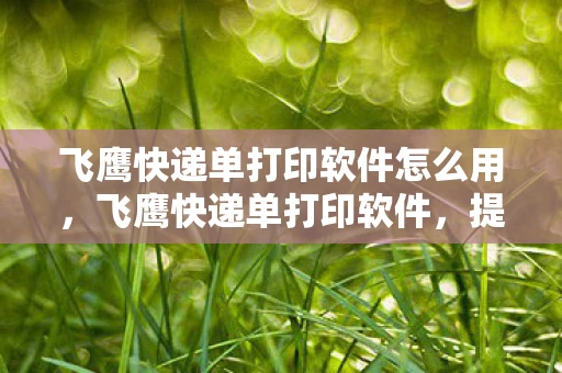 飞鹰快递单打印软件怎么用,飞鹰快递单打印软件,提升物流效率,简化操作 飞鹰快递单打印软件怎么用,飞鹰快递单打印软件,提升物流效率,简化操作