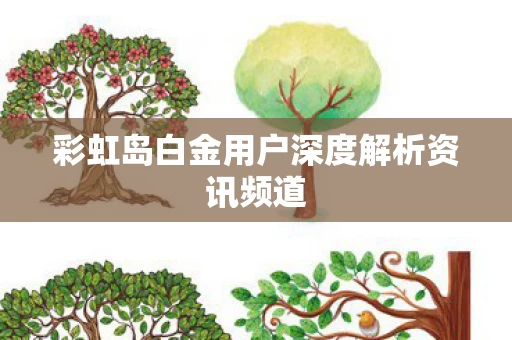 彩虹岛白金用户深度解析资讯频道图片