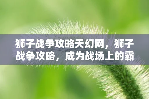 狮子战争攻略天幻网,狮子战争攻略,成为战场上的霸主 狮子战争攻略天幻网,狮子战争攻略,成为战场上的霸主
