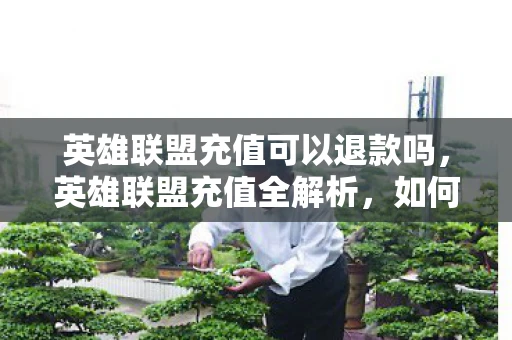 英雄联盟充值可以退款吗,英雄联盟充值全解析,如何高效、安全地充值? 英雄联盟充值可以退款吗,英雄联盟充值全解析,如何高效、安全地充值?